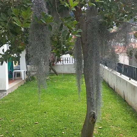 Cosy Nook Σπίτι διακοπών *